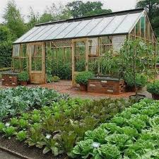 Organic Gardening In A Greenhouse