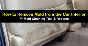 ways to remove mold from the car interior