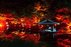 11月1日よりライトアップスタート！TOKYO RED GARDEN2020 || 八芳園