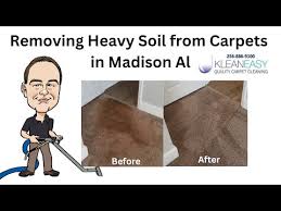 carpet cleaner madison al
