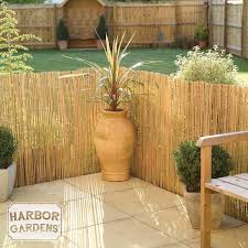 bamboo fencing