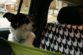 Dog Car Seat Cover Hammock Diy Pattern