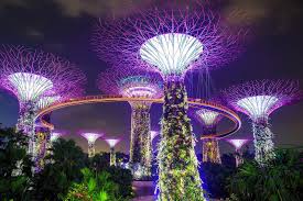 3 Great Light Shows In Singapore Evening Sound And Light Shows