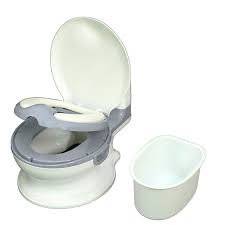 caredyn soft potty seat with handles