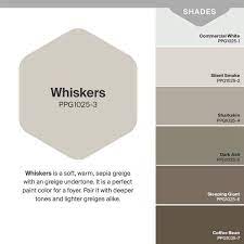 Ppg1025 3 Whiskers Flat Interior Paint