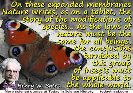 Butterfly Quotes - 12 quotes on Butterfly Science Quotes ... via Relatably.com