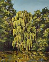 Willow Tree Painting Original Art