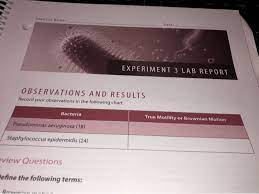 experiment 3 lab report observations
