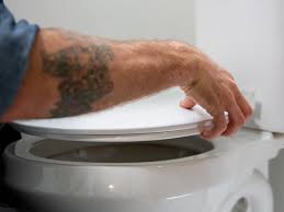 how to remove or replace a toilet seat