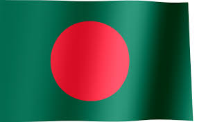 # race # nascar # race track # green flag. Bangladesh Flag Google Search