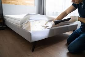 how to get rid of bed bug infestations