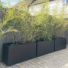 Large Bamboo Trough Planters