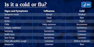 Cold Versus Flu Explained Vox