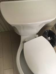 Toilet Seat And Cover That Kept