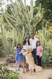 Family Portraits At The Arizona Cactus