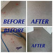 carpet stain removal elsmere de