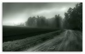 foggy country road ultra hd desktop