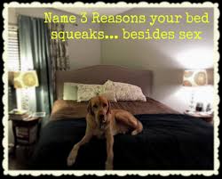 Your Bed Might Squeak Besides