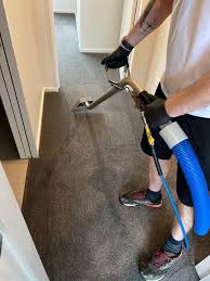 carpet cleaning services in christchurch