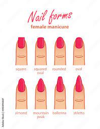 nail shapes set female manicure