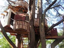 Build A Treehouse In Your Back Garden