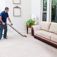 top 10 best carpet cleaners in guelph