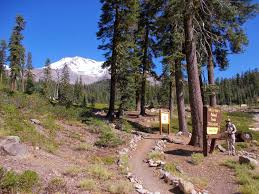 Dave'n'Kathy's Vagabond Blog: Climbing the Causeway to Mt. Shasta - Or,  "Why's My Bunny Flat?"