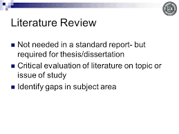 Literature review example for thesis        original papers