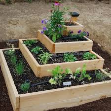 simple vegetable garden ideas at home