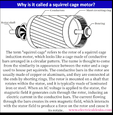why is it called a squirrel cage motor