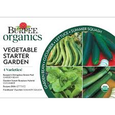 bur organic vegetable starter garden