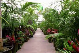Palm Gardens Creating A Beautiful