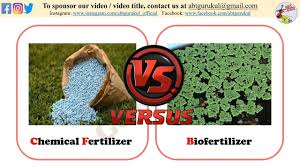 chemical fertilizers vs bio fertilizers