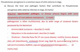 vets3010 bacteriology mse practice