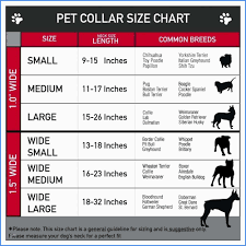 Dog Collar Sizes Chart Bedowntowndaytona Com