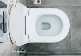 How To Tighten A Toilet Seat 2 Ways