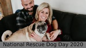 Photos of rescue dogs, man's best friend. National Rescue Dog Day 2021 Quotes Wishes Messages Greetings Sms Sayings Status Daily Event News
