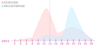 Menstrual Cycle Hormone Chart T1d Living