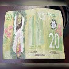 canadian counterfeiter criminal