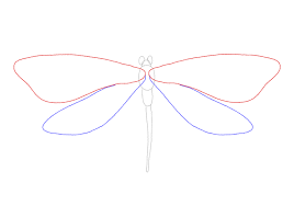 how to draw dragonflies design