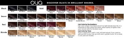 Each hair dye kit includes everything you need to get started, from conditioners to colorants. Garnier Olia Ammonia Free Brilliant Color Oil Rich Permanent Hair Color 2 0 Soft Black Pack Of 2 Black Hair Dye