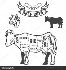 Beef Cuts Butcher Diagram Cow Illustrations On White
