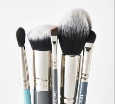 beginner makeup brush set blush
