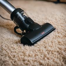 fleas on carpets home remedy