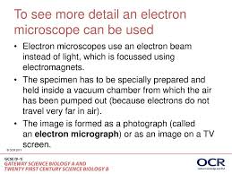 Different Types Of Microscopes Ppt Download