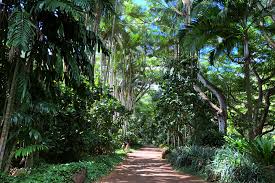 visiting kauai national tropical