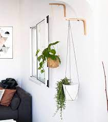 Two Wall Plant Hanger Wall Hook For