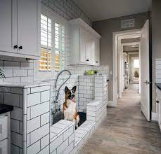 Dog Wash Station Ideas For Clean