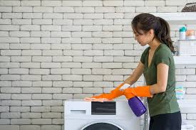 easy natural washing machine cleaner