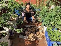 Organic Terrace Gardens In Bengaluru